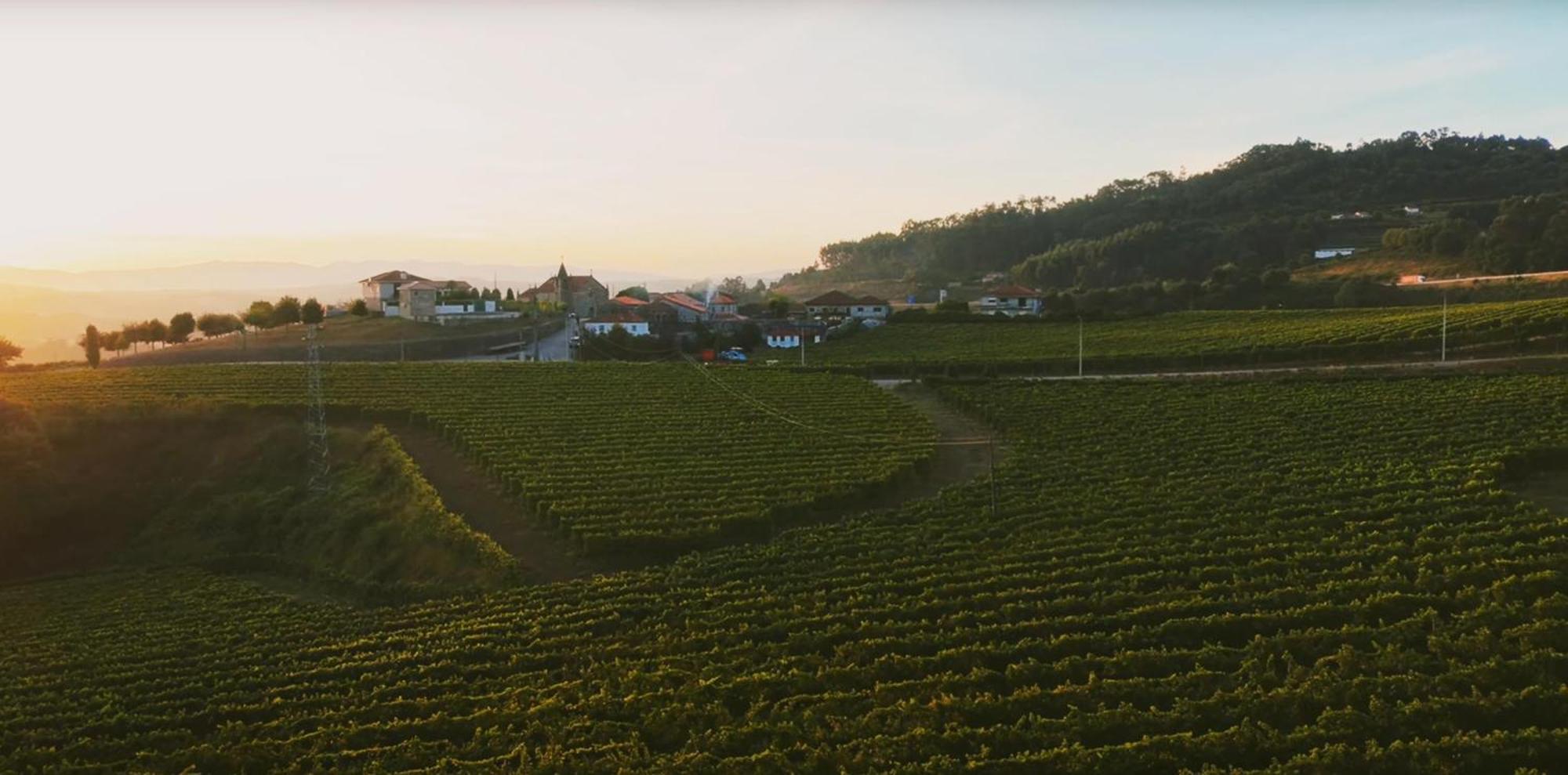 The Farmhouse I - Uma Quinta Deslumbrante Фелгейрас Екстериор снимка